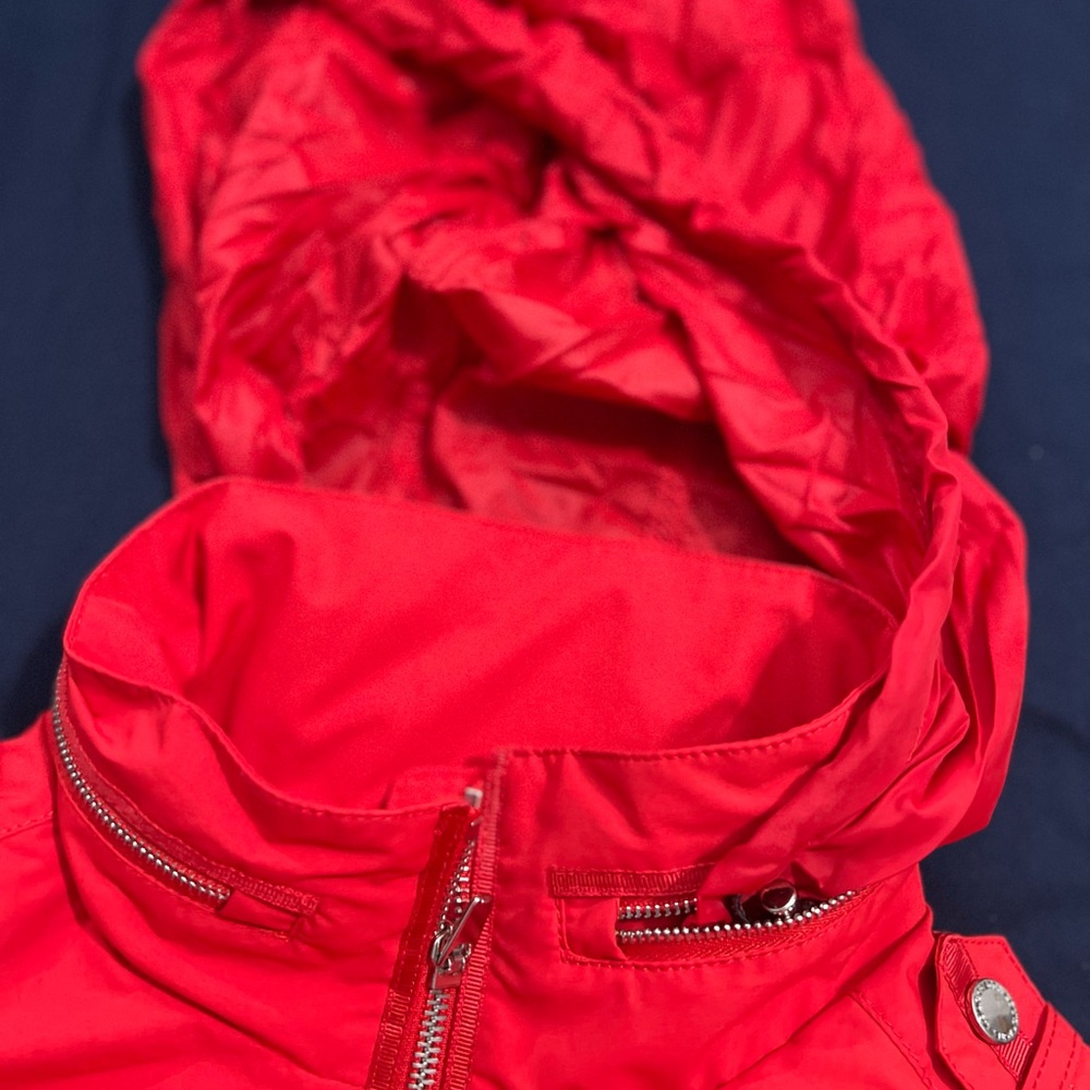 Louis Castel - Picture 5 of 7